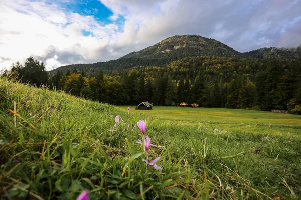 Den Pittoreska Kyrkbyn Wamberg Imponerande Bergslandskap Nära Garmisch Partenkirchen Tyskland — Stockfoto