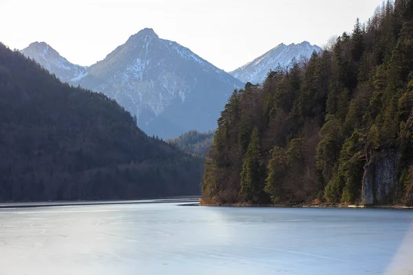 Kışın Plansee Gölü Tyrol Avusturya — Stok fotoğraf