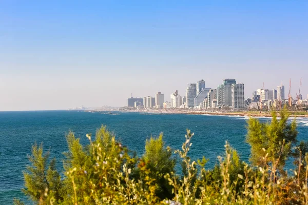 Panoramic View Tel Aviv Jaffa Israel — 스톡 사진