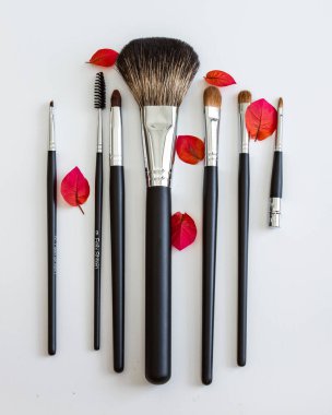 Makyaj fırçaları beyaz arkaplanda izole edildi