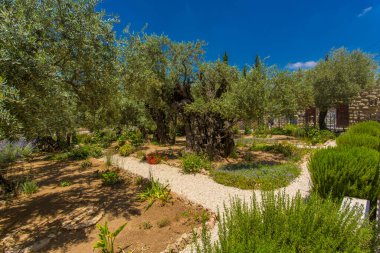 Eski Kudüs Şehri İsrail