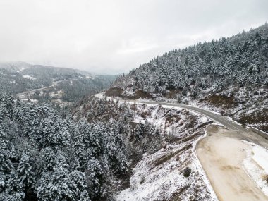 Yunanistan 'daki Çam Ormanı' ndan Karlı Dağ Yolu