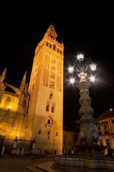 Night View Cathedral Seville Its Wonderful Giralda Andalusia Spain — Stock Photo, Image
