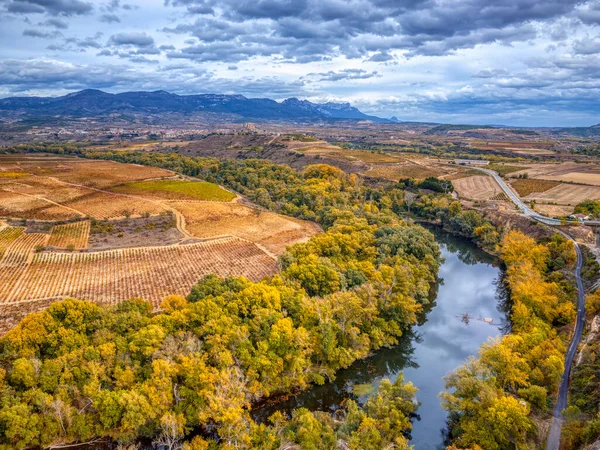 Veduta Aerea Dei Meandri Del Fiume Ebro Briones Rioja Spagna — Foto Stock