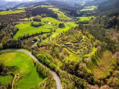 Castro de Coaa, İspanya 'nın Asturias şehrinde bir demir çağı kasabası..