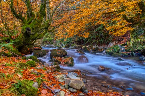 Redes Forest Asturias Spain Bright Waterscape Fast Rocky River Autumn — Stock Photo, Image