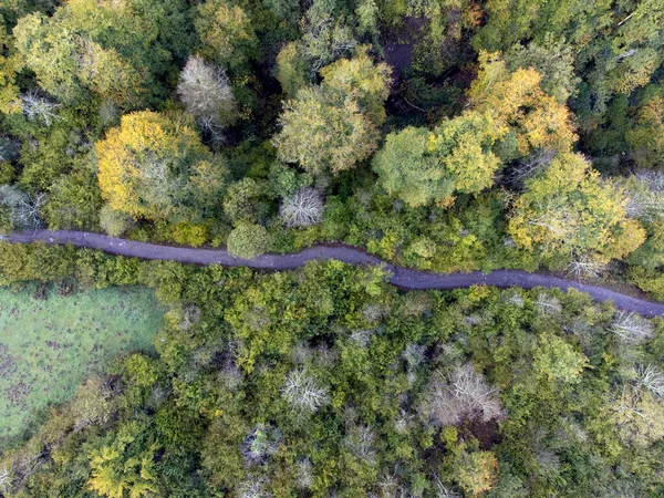ラヴィアナ スペインのオーストリア評議会でラス フォーカス ライゴスの道に秋の空中ビューの森 — ストック写真