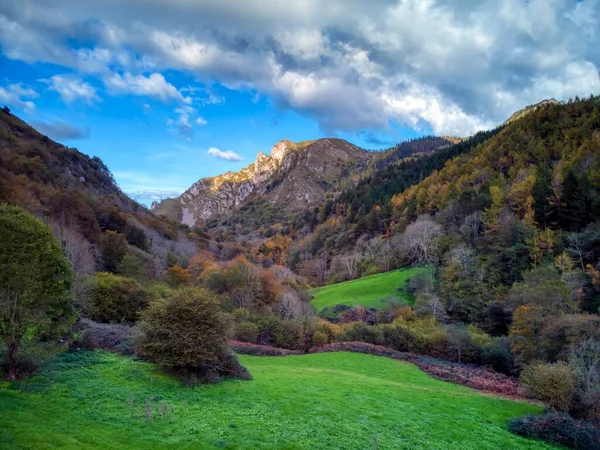 Vista Del Bosque Otoño Ayuntamiento Asturiano Parres España Bosque Cea — Foto de Stock