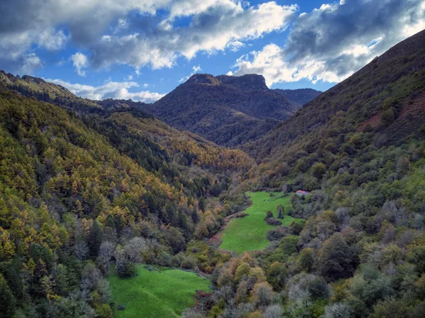 Vista Del Bosque Otoño Ayuntamiento Asturiano Parres España — Foto de Stock