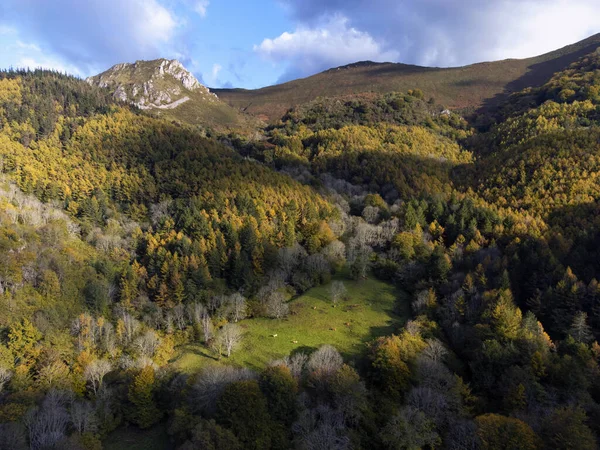 Vista Del Bosque Otoño Ayuntamiento Asturiano Parres España — Foto de Stock