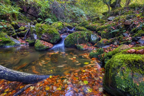 Autumn View Raigosu River Council Laviana Asturias Spain — Stock Photo, Image