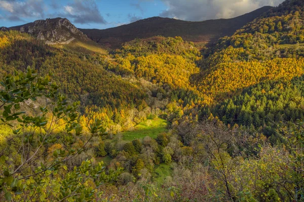 Forest View Autumn Asturian Council Parres Spain — Stock Photo, Image