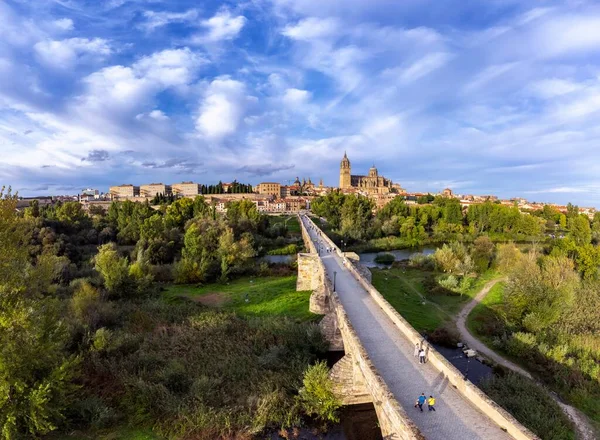 Aerial View Salamanca Cathedral Background Roman Bridge Foreground — Stock Photo, Image