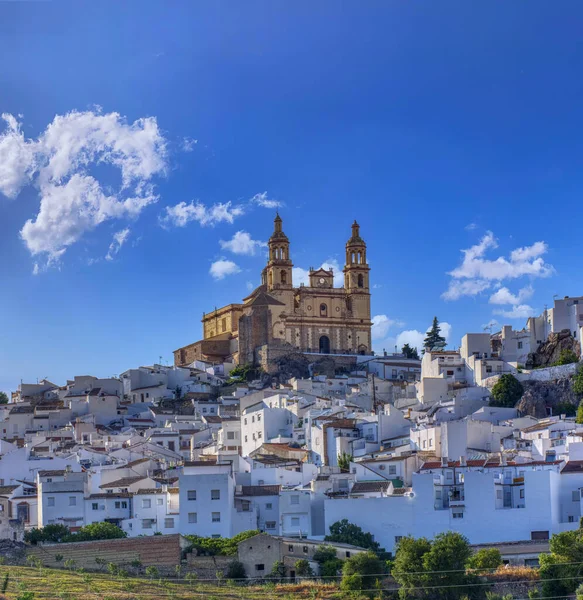 stock image Panoramic view of Olvera, one of the famous white villages in the province of Cadiz in Spain.