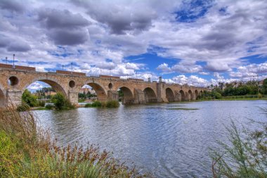 Badajoz şehrindeki Palmas Köprüsü. Extremadura, İspanya.