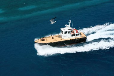 Nassau, Bahamalar - 15 Nisan 2008: Nassau Limanı yakınlarındaki sularda bir pilot bot geziniyor.