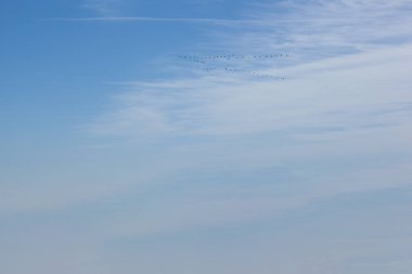 Gökyüzünde güzel bulutlar süzülür ve projeleriniz için mükemmel bir zemin oluşturur.