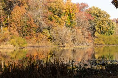 Sonbaharda Clark New Jersey 'deki Jacksons Pond' un muhteşem manzarası. Renkli sonbahar yaprakları suya yansıyor..