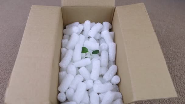 Eco Package Parcels Biodegradable Filler Box Filled Filler Does Harm — Stock Video