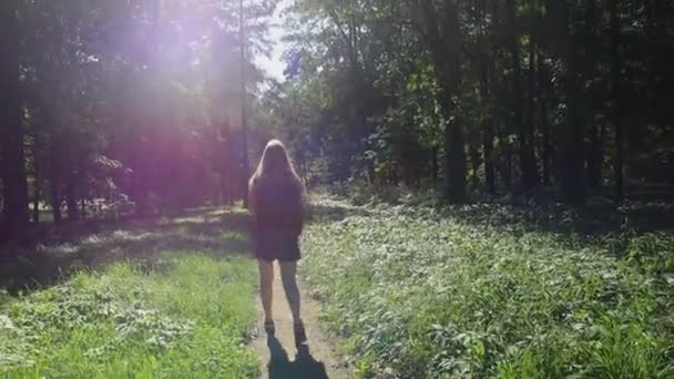背中のバックパックを持った少女が森の中を歩いている ショートパンツ ホワイトTシャツ 大きなバックパック レンズ 大気の色の補正への太陽のレイは楽しい感じを作成します — ストック動画