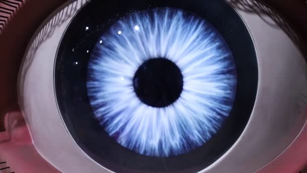 Schaufensterpuppe Nahaufnahme Eines Menschlichen Auges Mit Klaren Linien Der Netzhaut — Stockvideo