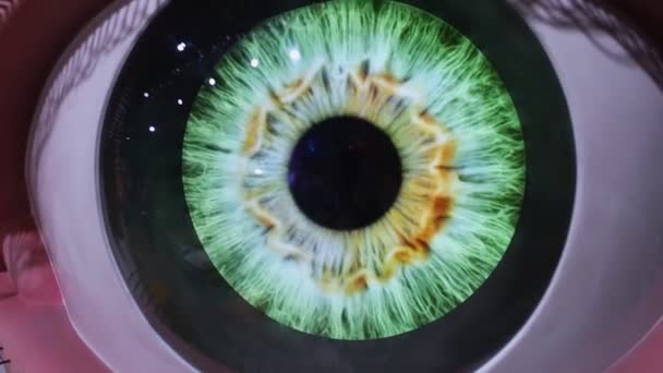 Schaufensterpuppe Nahaufnahme Eines Menschlichen Auges Mit Klaren Linien Der Netzhaut — Stockvideo