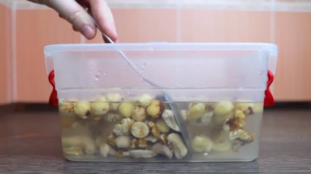 Przemoczone Orzechy Dziewczyna Pokazuje Brudne Nasiona Chemiczne Przetwarzanie Żywności Problemy — Wideo stockowe