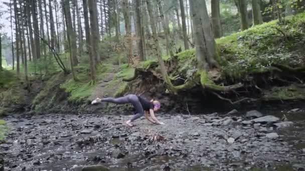 Yoga Nature Girl Middle Forest Conducts Retreat Herself Individual Practice — Stock Video