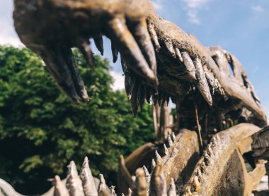 Spinosaurus dinozor iskelet heykeli. Müzede antik bir hayvanın yeniden inşası. Jurassic lunaparkı. Paleontoloji, dinazor kazıları