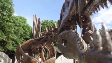 Spinosaurus dinozor iskelet heykeli. Müzede antik bir hayvanın yeniden inşası. Jurassic lunaparkı. Paleontoloji, dinazor kazıları