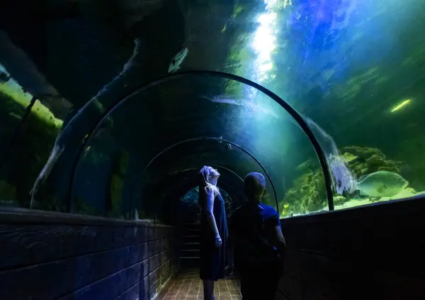 stock image Mother and son watching sea animals in the aquarium tunnel. Weekend with kids, trip to the oceanarium. Snorkeling and diving, watching exotic fish and sea creatures