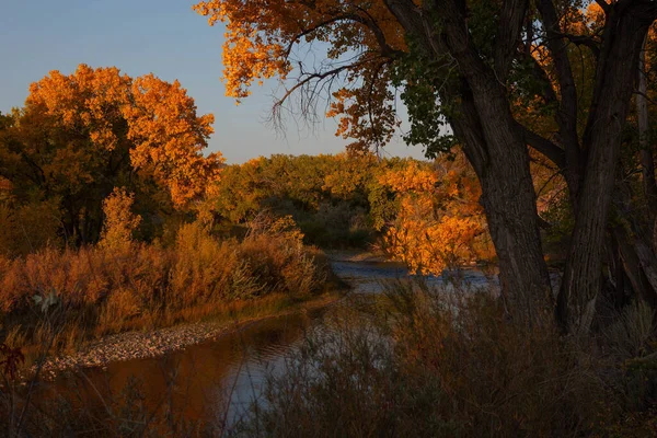 Rio Grande flowing through Embudo, Rio Arriba County, New Mexico in fall sunset