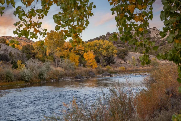 Rio Grande Flowing Embudo Rio Arriba County New Mexico Fall — 图库照片