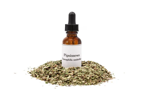 Pipsissewa Herbal Tincture Dried Herb Isolated White Background — Stock Photo, Image