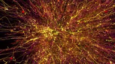 Parlak renkli parçacıklar boşluğu enerji ve ışık püskürtüleriyle doldurur. Parlak şenlik dekorasyonu için parlak renkli soyut arkaplan