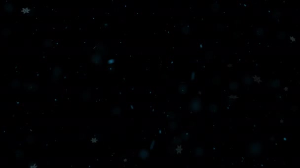 Зимняя Метель Снегопад Порывами Ветра Падение Снежинки Разных Расстояниях Реалистично — стоковое видео