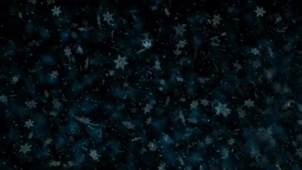 Зимняя Метель Снегопад Порывами Ветра Падение Снежинки Разных Расстояниях Реалистично — стоковое видео