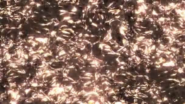 Shimmering Oily Liquid Sheen Abstract Waves Ripples Surface Liquid Metal — Video