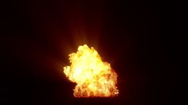 Impressive Intense Explosion Black Background Dynamic Composition Detonating Bright Colorful — Wideo stockowe