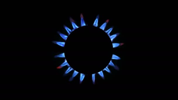 厨房燃烧器的头像在夜间发光 天然气的概念 煤气炉是由一个点燃的燃烧器打开的 — 图库视频影像