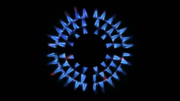 Top Udsigt Køkken Brænder Glødende Natten Close Naturgas Koncept Gaskomfuret – Stock-video