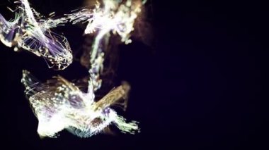 Koyu arkaplanda renkli soyut parçacık ve pleksus sistemi. Neşeli bir atmosfer için. Metin, logo veya diğer grafik tasarımı için uygun
