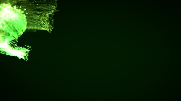 Coloré Abstrait Élégant Particule Système Plexus Sur Fond Sombre Thème — Video