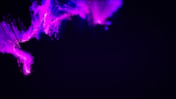 Kolorowy Abstrakcyjny Stylowy System Cząsteczek Splotu Ciemnym Tle Dla Świątecznej — Wideo stockowe