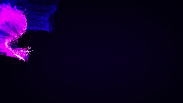 Színes Absztrakt Stílusos Részecske Plexus Rendszer Sötét Háttérrel Ünnepi Hangulatért — Stock videók
