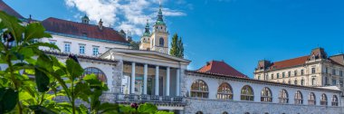 LJUBJANA, SLOVENIA - NOVEMBER 05.2022: Joze Plecnik 'ten Slovenya' nın başkenti Ljubljana 'daki muhteşem mimari merkezi pazar