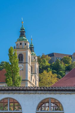 LJUBJANA, SLOVENIA - NOVEMBER 05.2022: Mimari merkez pazar, arka plan Katedralin ve Ljubljana Kalesi