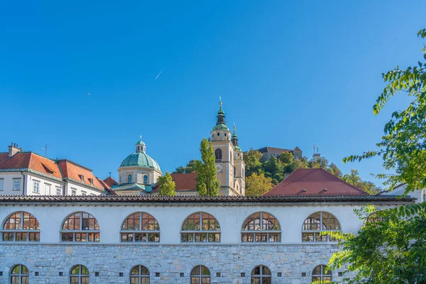 LJUBJANA, SLOVENIA - NOVEMBER 05.2022: Mimari merkez pazar, arka plan Katedralin ve Ljubljana Kalesi