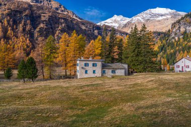 Bernina Ekspres treni Rhaetian Demiryolu Hattı 'ndan bir sonbahar gününde Bernina Dağı' nın arka planına bakın.