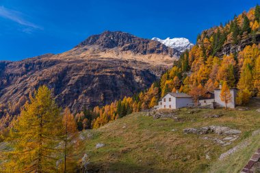 Bernina Ekspres treni Rhaetian Demiryolu Hattı 'ndan bir sonbahar gününde Bernina Dağı' nın arka planına bakın.